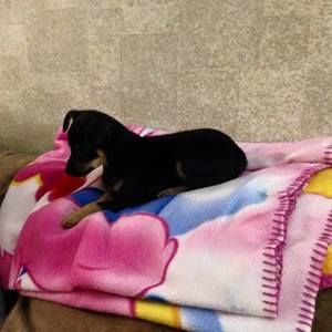 Meet your Posher, Laura